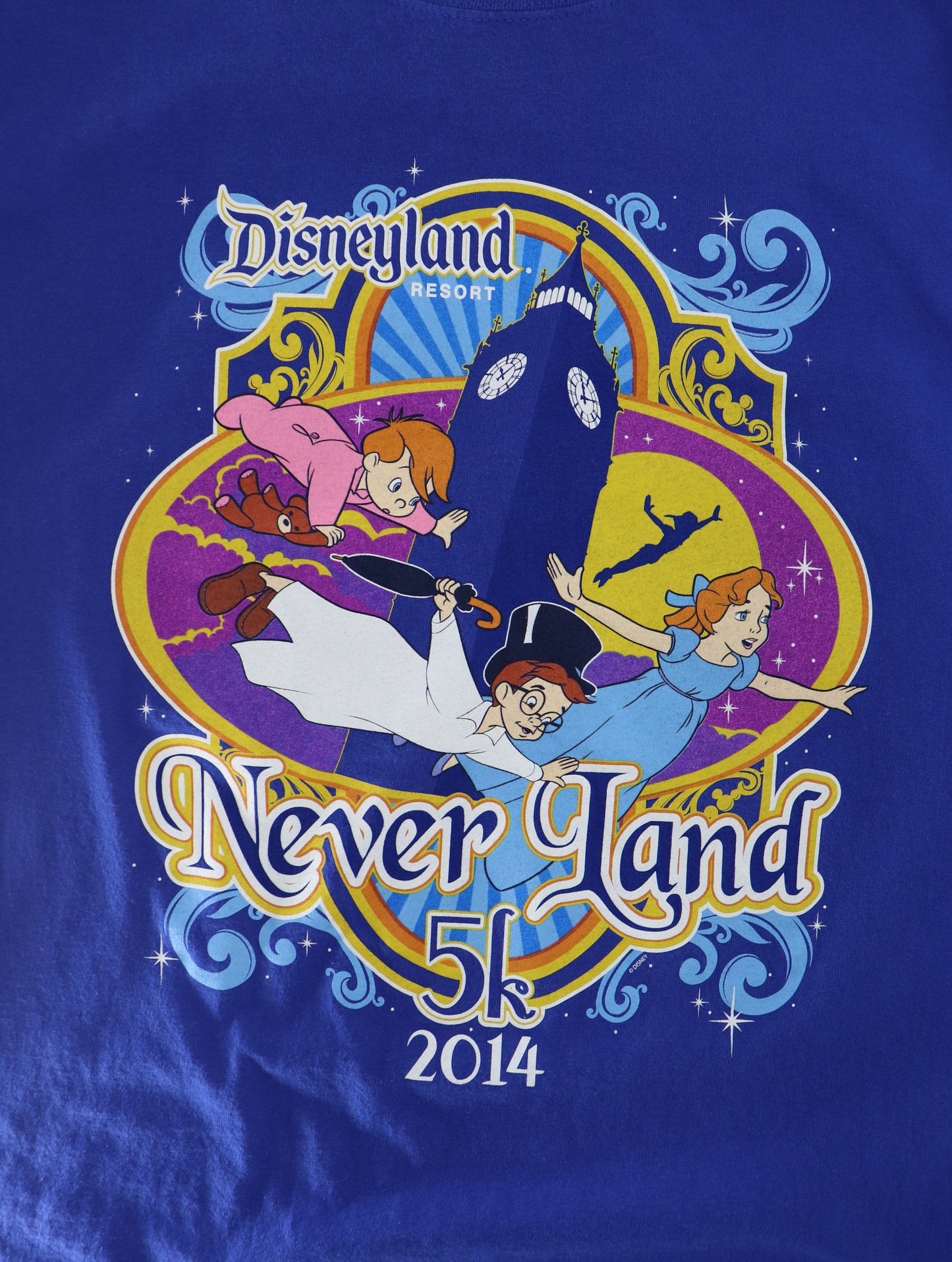 DISNEYLAND NEVERLAND 2014
