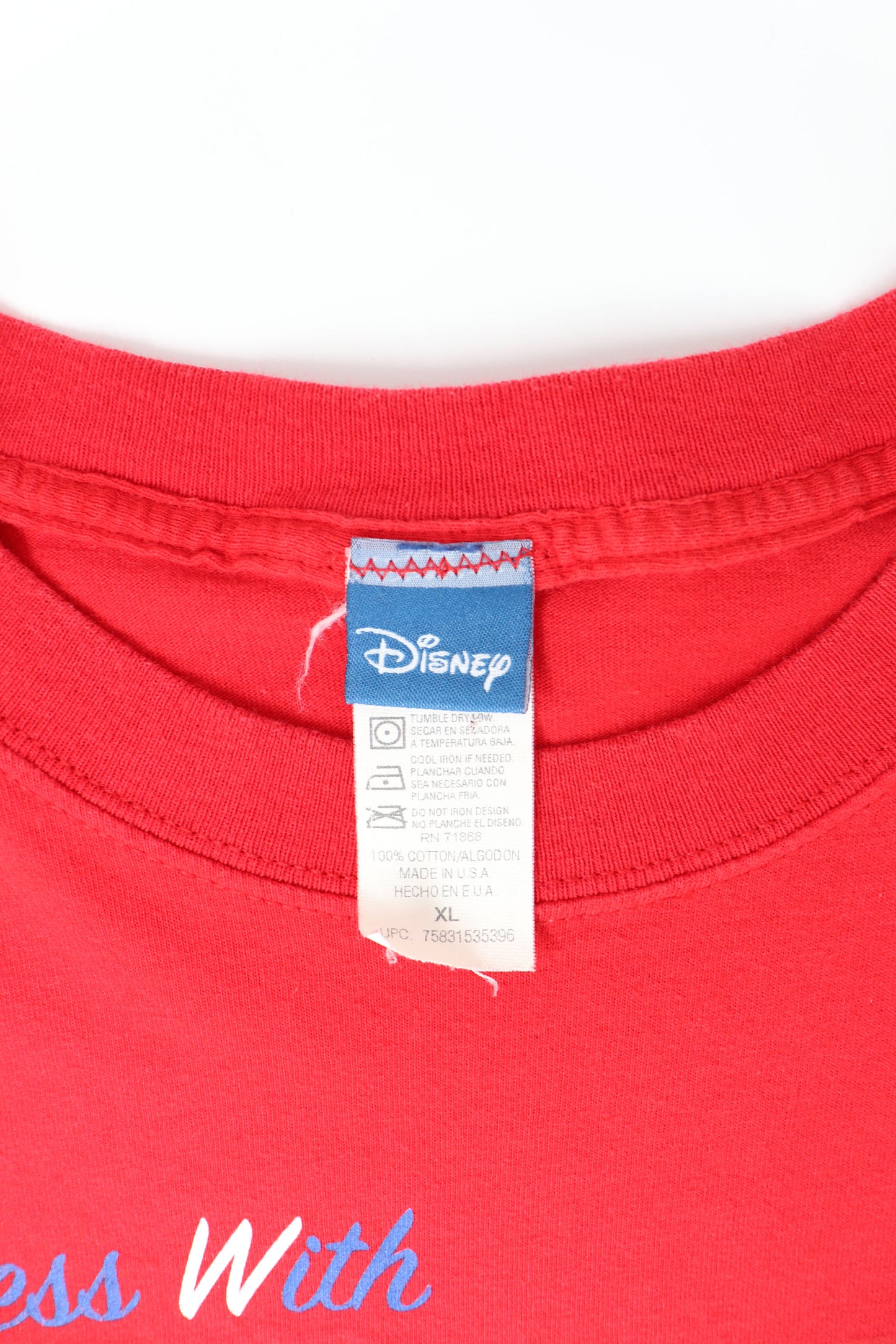 DISNEY MICKEY & MINNIE DONT MESS WITH US FLAG
