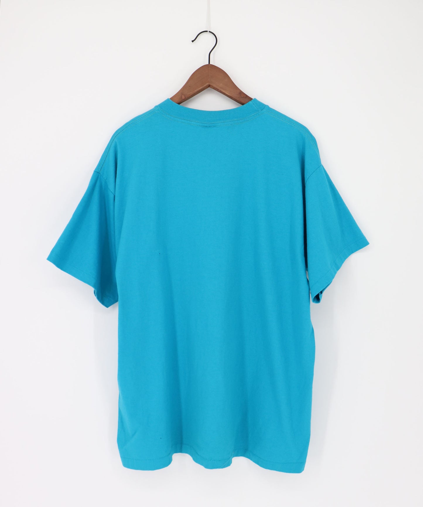 VINTAGE SALEM CHARLOTTE HORNETS SINGLE STITCHED TEE (XL)