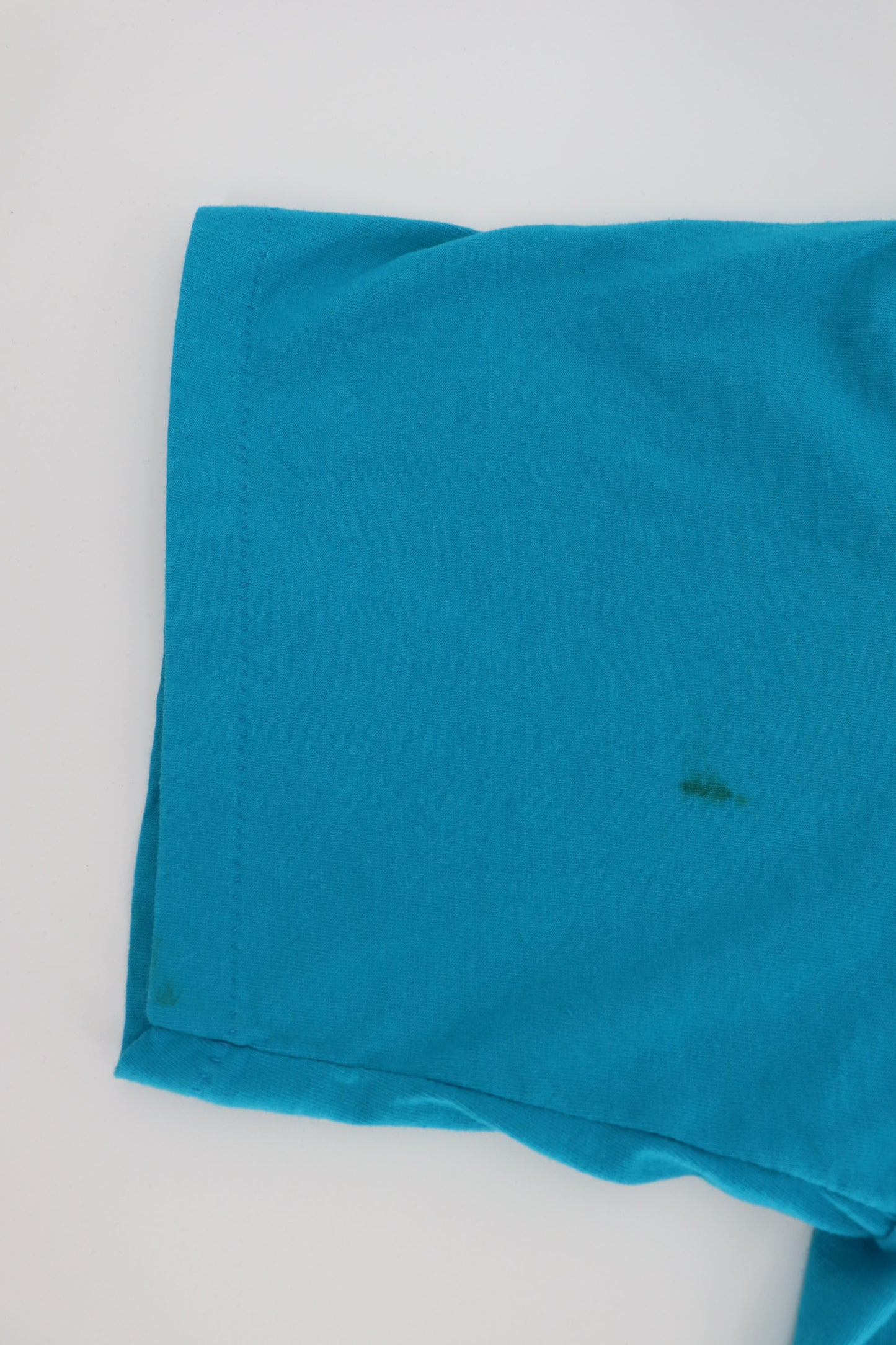 VINTAGE SALEM CHARLOTTE HORNETS SINGLE STITCHED TEE (XL)