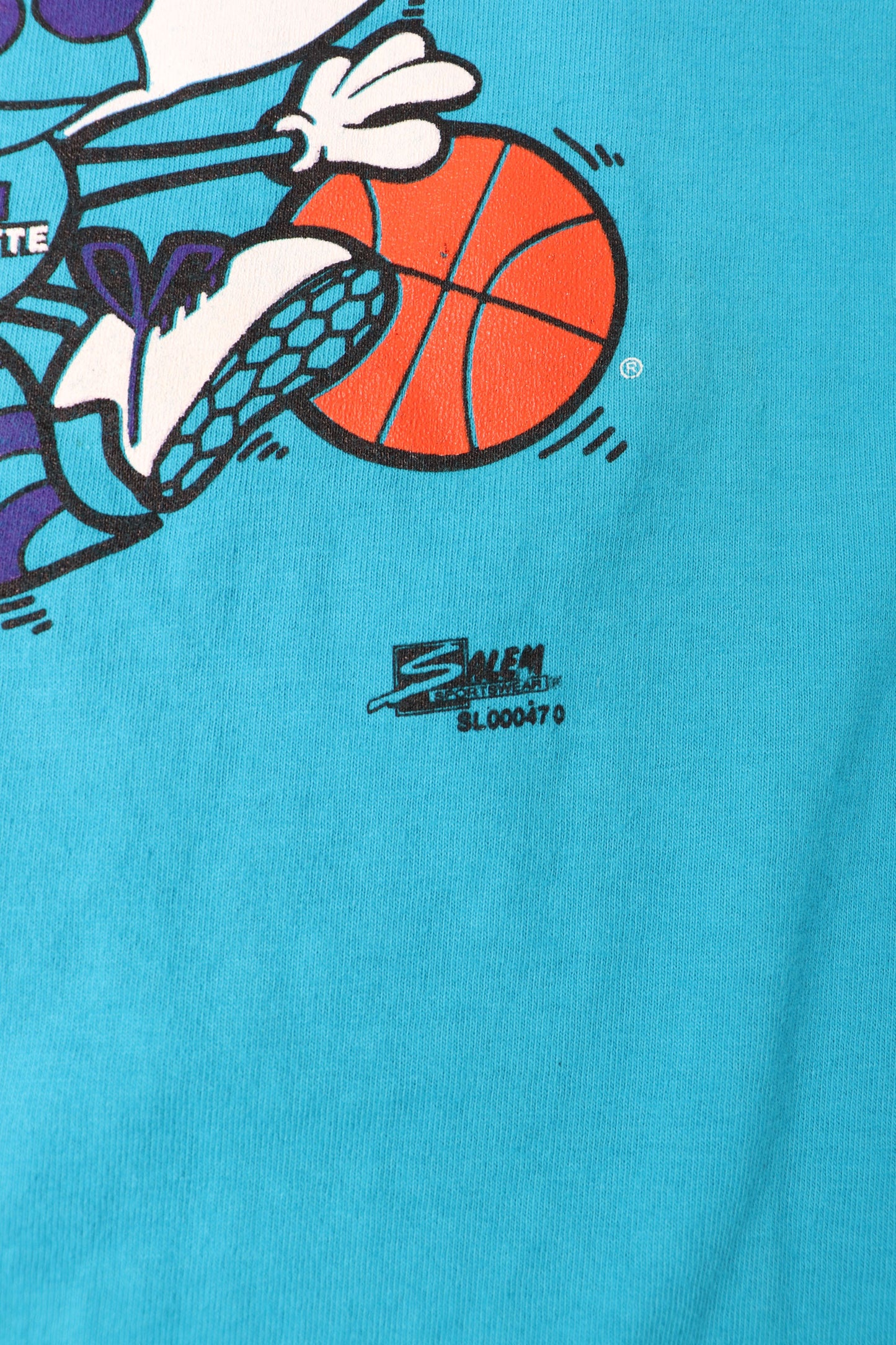 VINTAGE SALEM CHARLOTTE HORNETS SINGLE STITCHED TEE (XL)