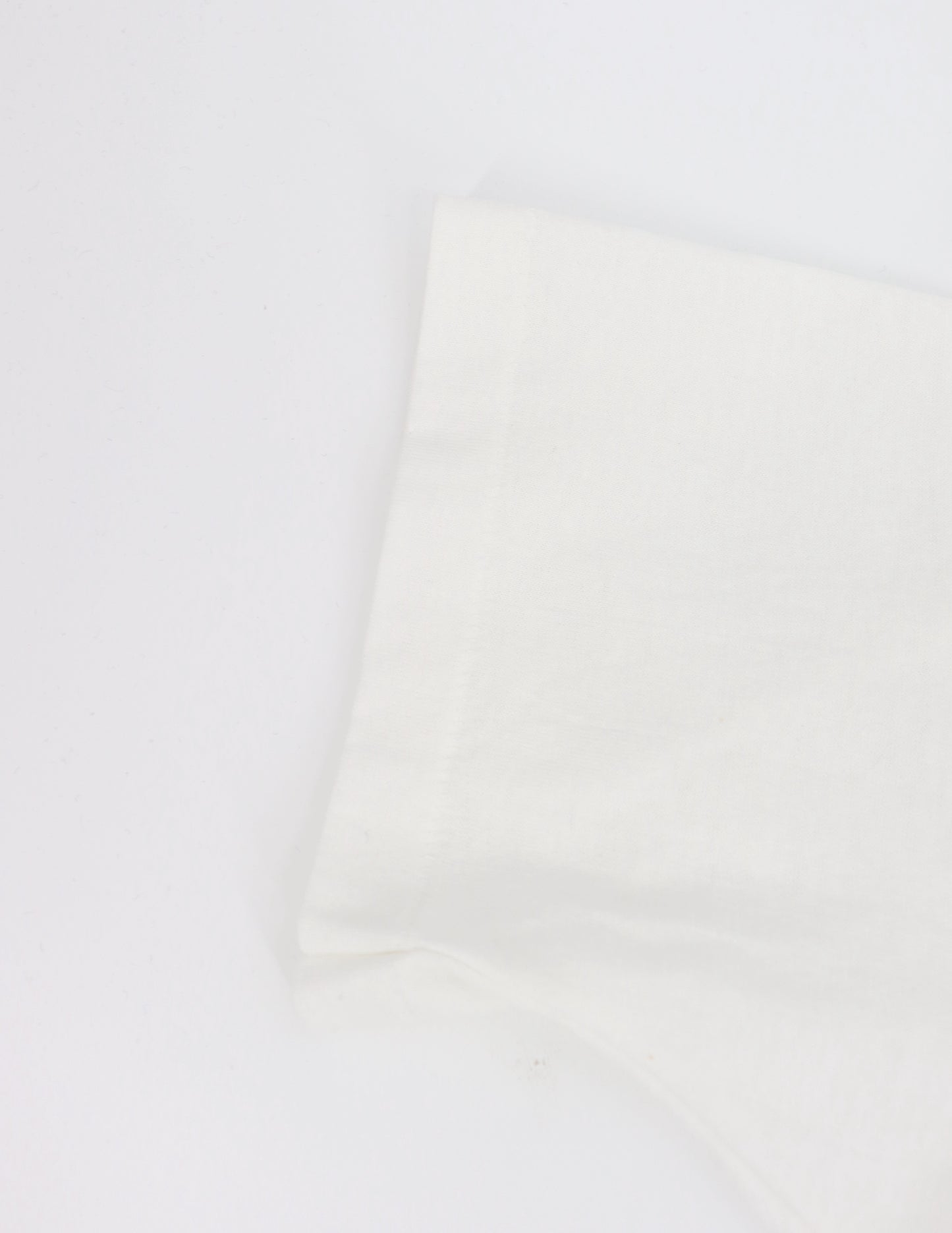VINTAGE TIANANMEN MEMORIAL FOUNDATION SINGLE STITCHED TEE (L)