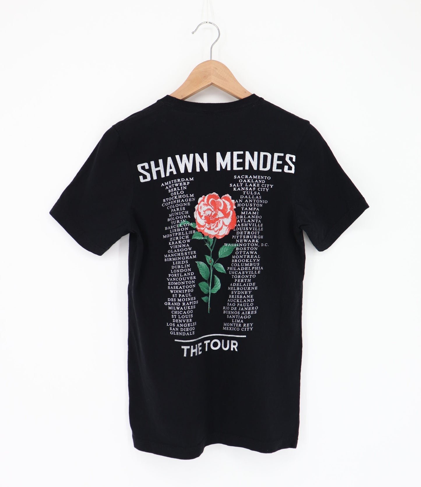 SHAWN MENDES THE TOUR