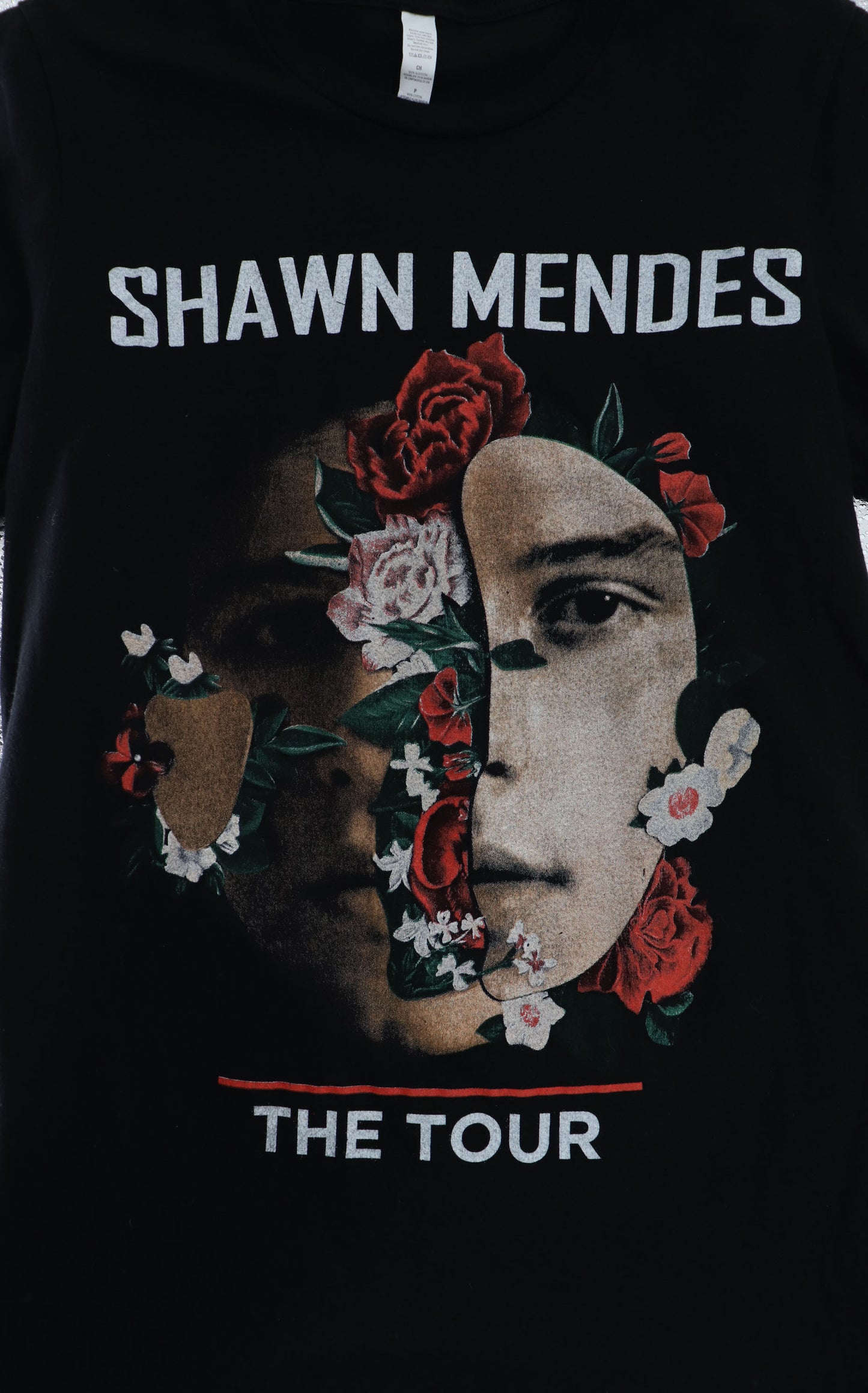 SHAWN MENDES THE TOUR