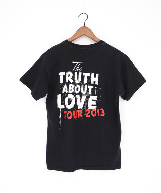 PINK THE TRUTH ABOUT LOVE TOUR 2013