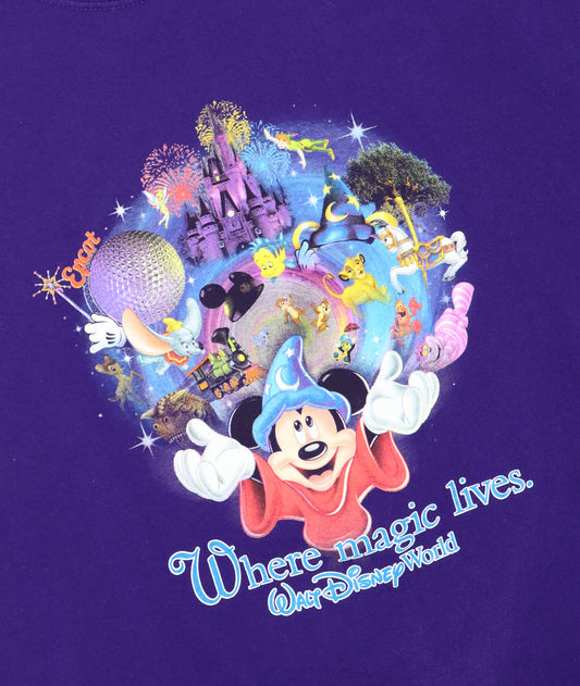 WALT DISNEY WORLD WHERE MAGIC LIVES