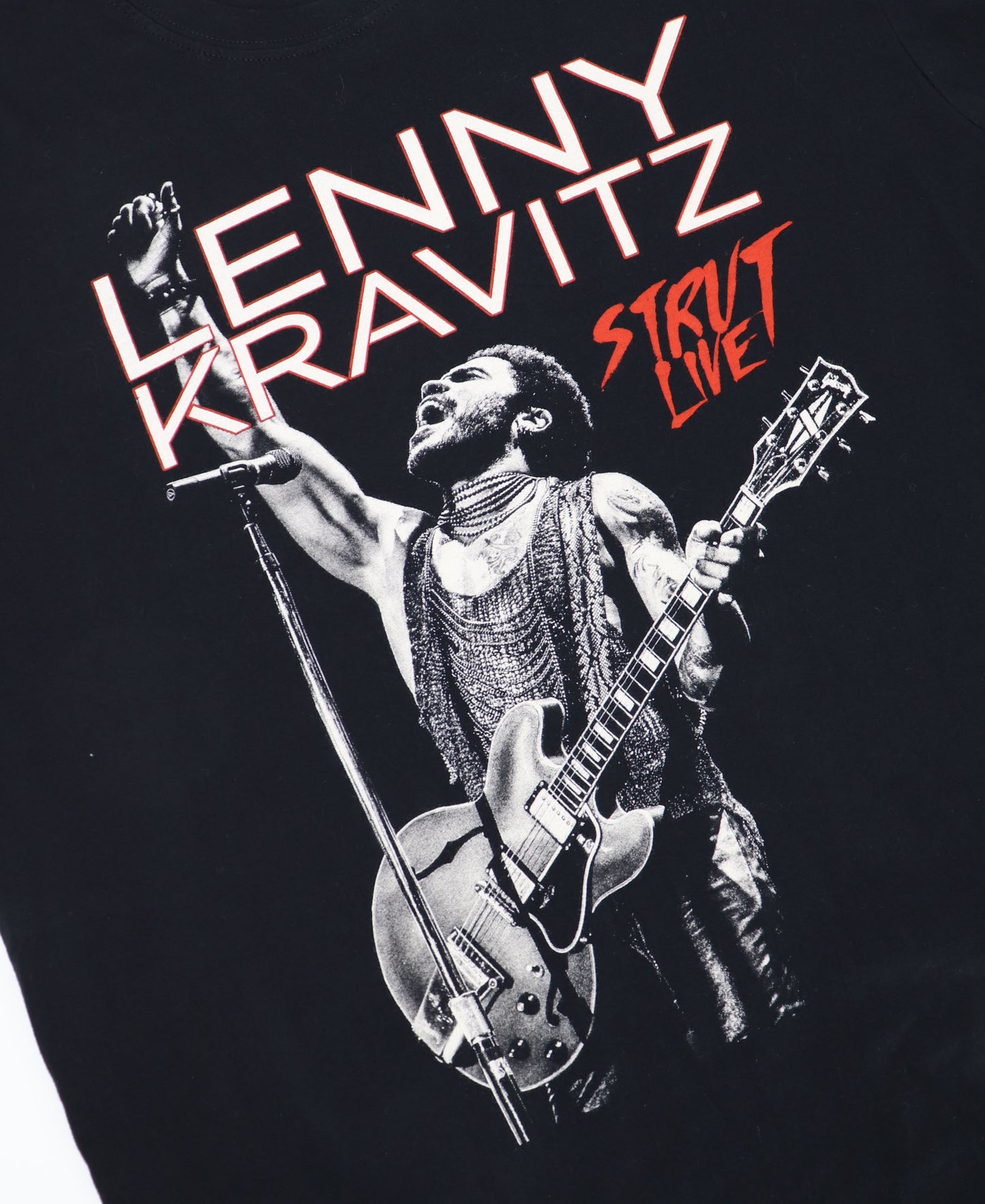 LENNY KRAVITZ STRUT WORLD TOUR 2015