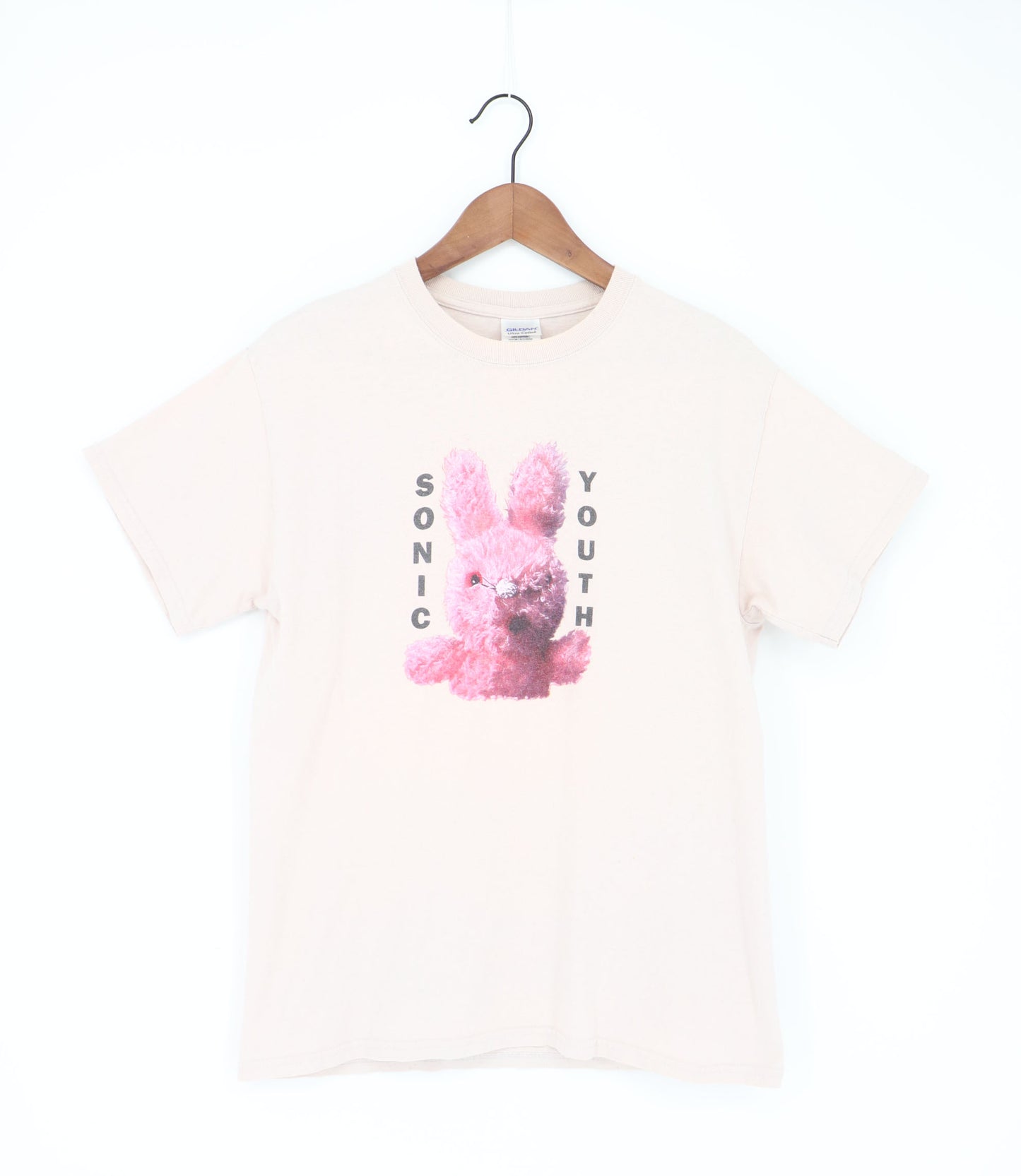 SONIC YOUTH DIRTY BUNNY