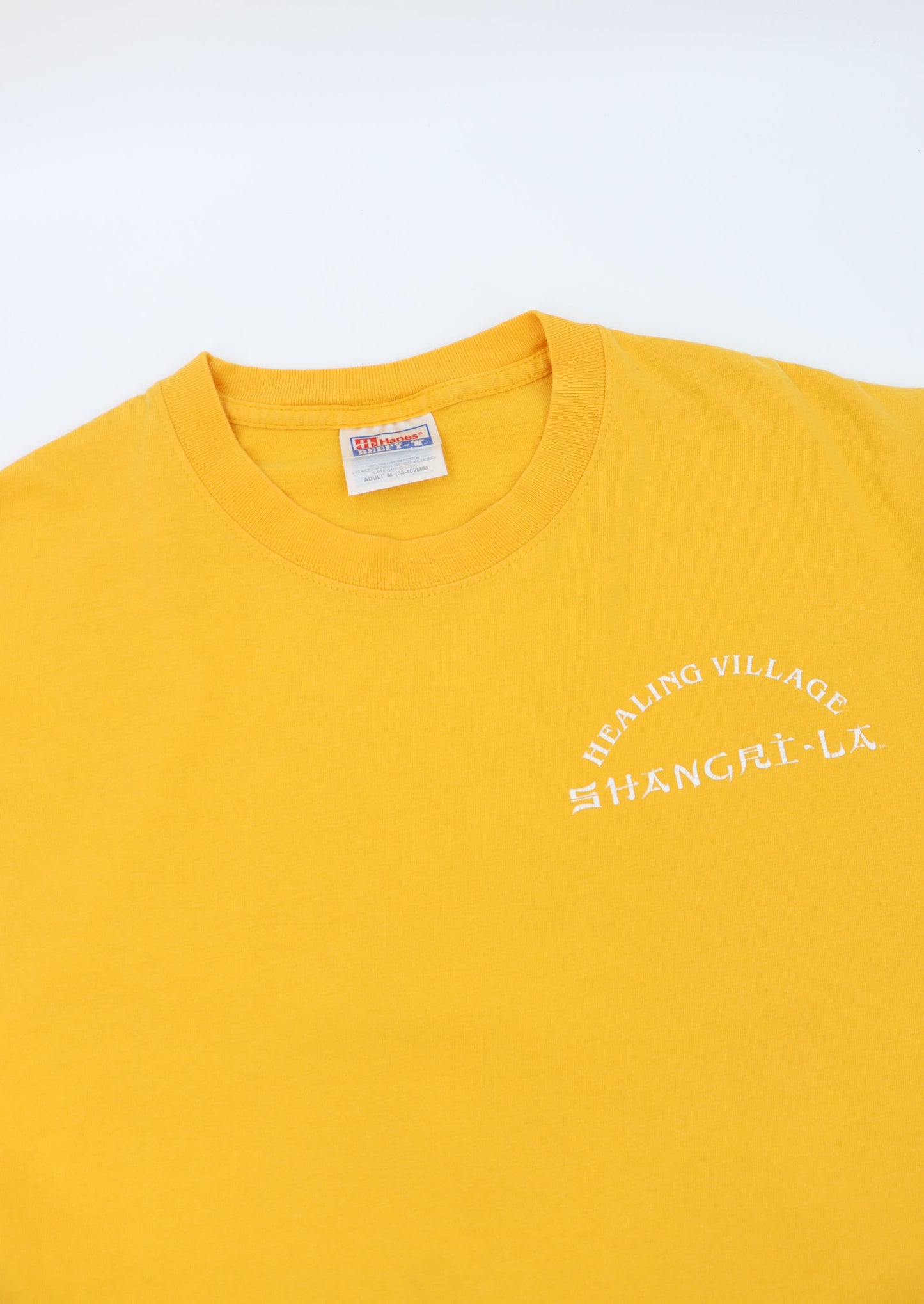 HEALING VILLAGE SHANGRI-LA TEE (M)