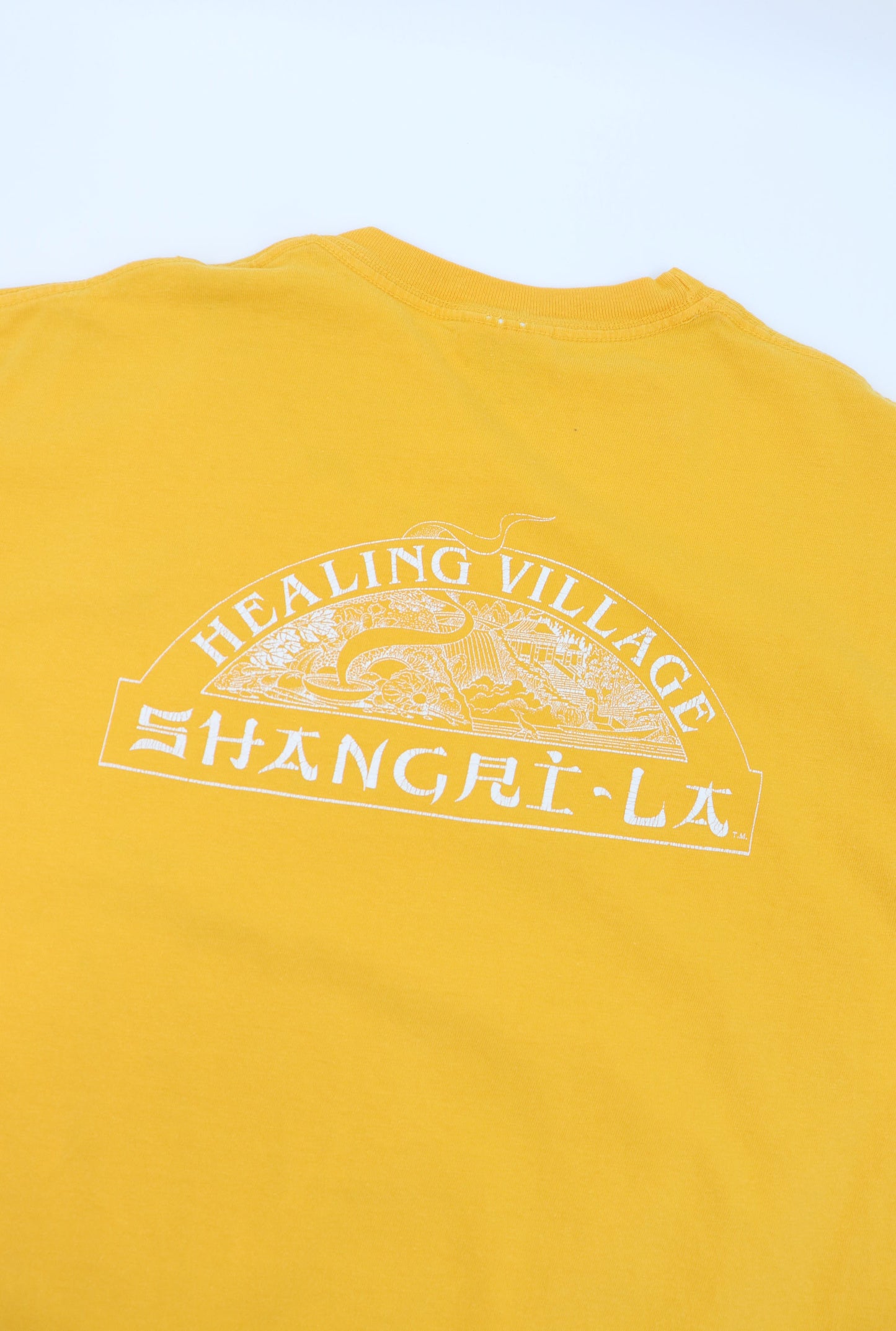 HEALING VILLAGE SHANGRI-LA TEE (M)