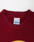 VINTAGE WASHINGTON REDSKINS TEE 1995 MADE IN USA (L)