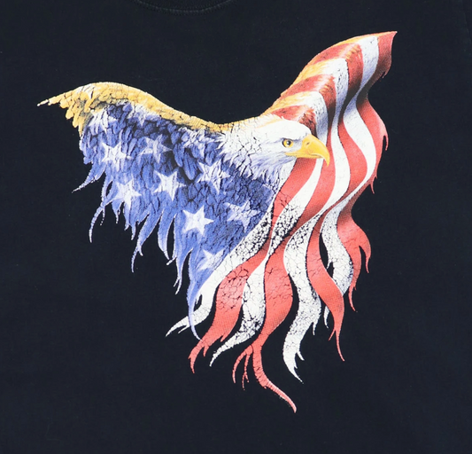AMERICAN EAGLE USA FLAG